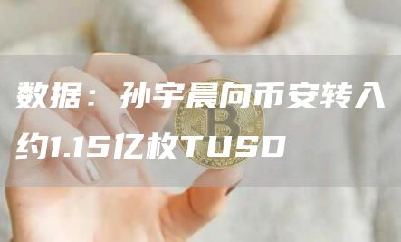 数据：孙宇晨向币安转入约1.15亿枚TUSD