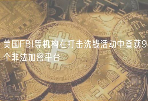 美国FBI等机构在打击洗钱活动中查获9个非法加密平台