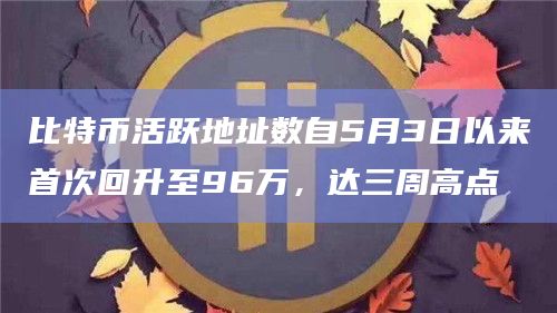 比特币活跃地址数自5月3日以来首次回升至96万,达三周高点 比特币活跃地址数自5月3日以来首次回升至96万,达三周高点