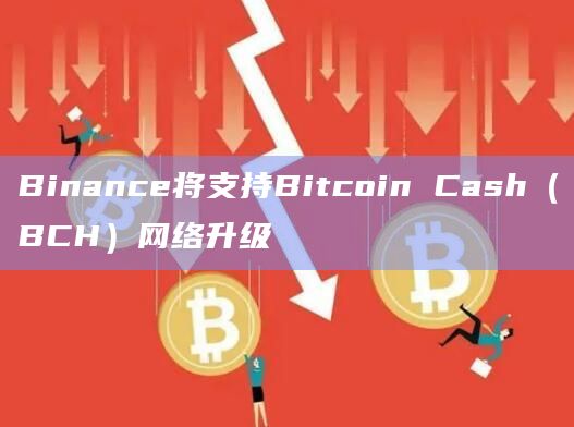 Binance将支持Bitcoin Cash（BCH）网络升级