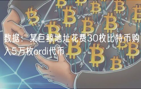 数据：某巨鲸地址花费30枚比特币购入5万枚ordi代币