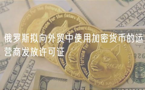 俄罗斯拟向外贸中使用加密货币的运营商发放许可证