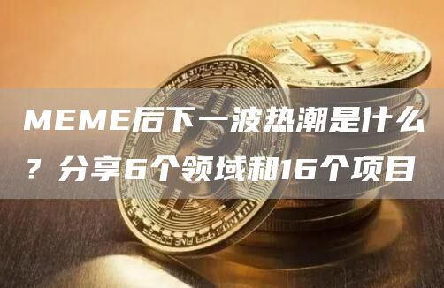 MEME后下一波热潮是什么？分享6个领域和16个项目