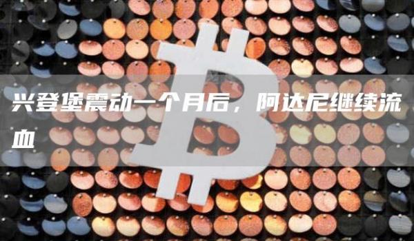兴登堡震动一个月后，阿达尼继续流血