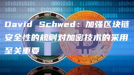 David Schwed：加强区块链安全性的规则对加密技术的采用至关重要