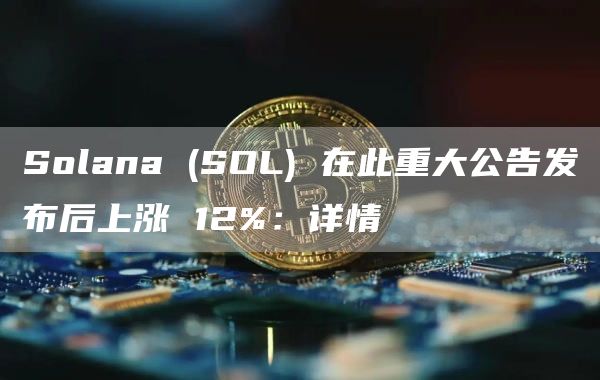 Solana (SOL) 在此重大公告发布后上涨 12%：详情