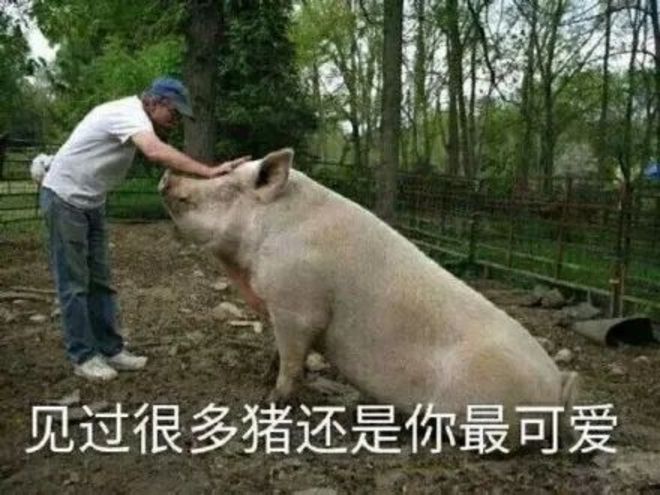 二舅币是什么，二舅币是怎么崩盘的（二舅币崩盘事件起因经过原因详解）