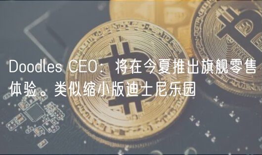 Doodles CEO：将在今夏推出旗舰零售体验。类似缩小版迪士尼乐园