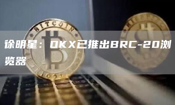 徐明星：OKX已推出BRC-20浏览器