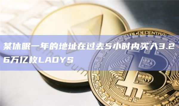 某休眠一年的地址在过去5小时内买入3.26万亿枚LADYS