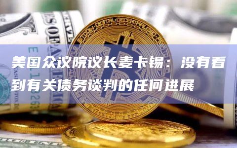 美国众议院议长麦卡锡：没有看到有关债务谈判的任何进展
