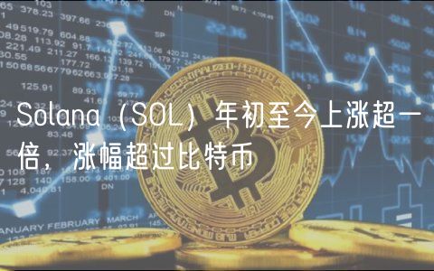 Solana（SOL）年初至今上涨超一倍，涨幅超过比特币