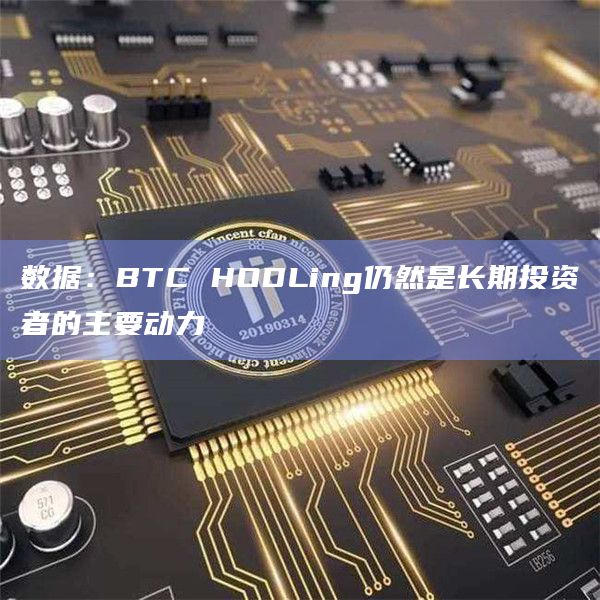 数据：BTC HODLing仍然是长期投资者的主要动力