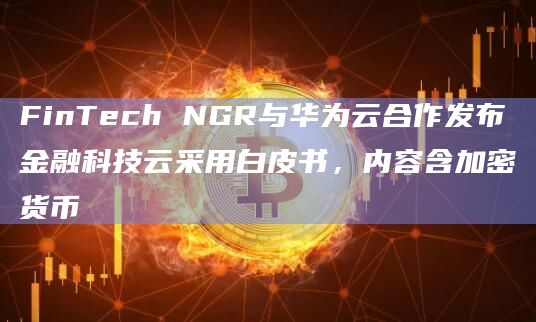 FinTech NGR与华为云合作发布金融科技云采用白皮书,内容含加密货币 FinTech NGR与华为云合作发布金融科技云采用白皮书,内容含加密货币