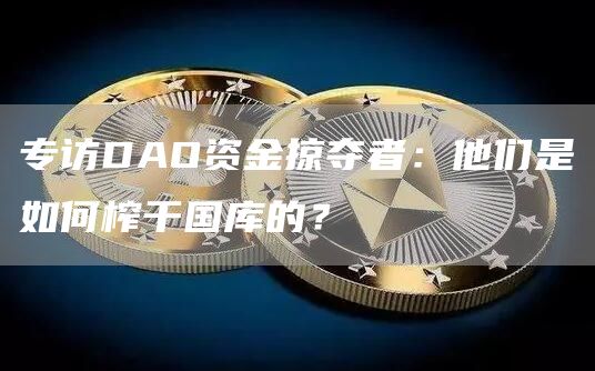 专访DAO资金掠夺者：他们是如何榨干国库的？
