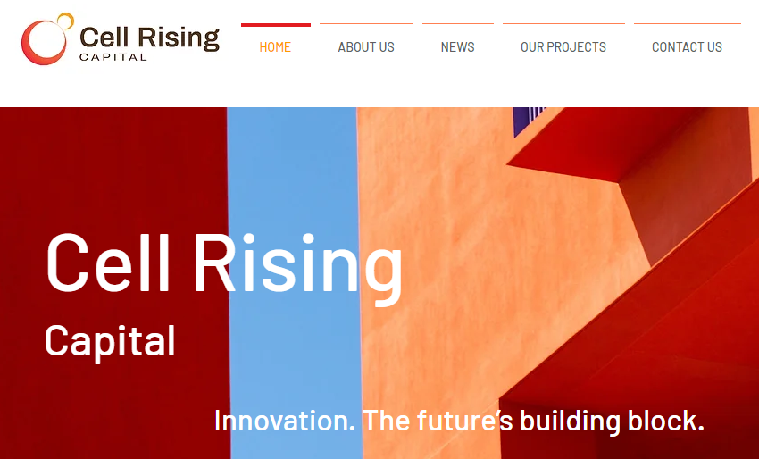 一文读懂：狮子山下——香港WEB3之野望