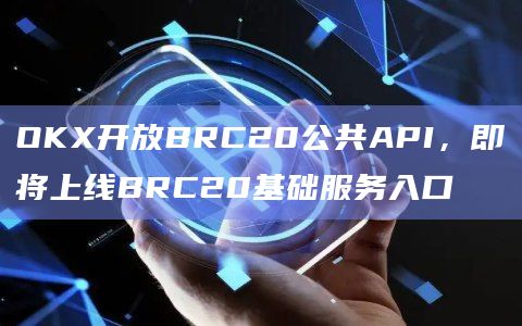 OKX开放BRC20公共API，即将上线BRC20基础服务入口