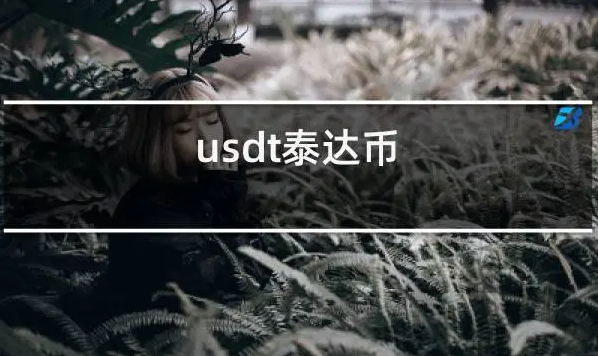 usdt是什么币（泰达币USDT是什么意思）