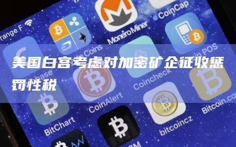 美国白宫考虑对加密矿企征收惩罚性税