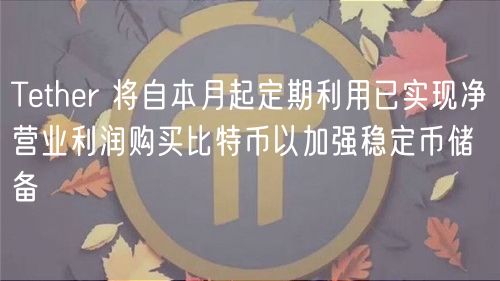 Tether 将自本月起定期利用已实现净营业利润购买比特币以加强稳定币储备
