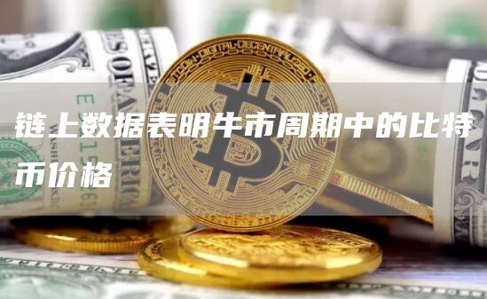 链上数据表明牛市周期中的比特币价格