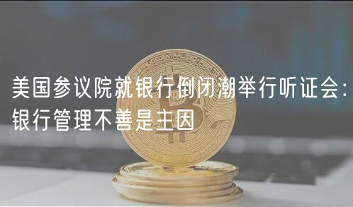 美国参议院就银行倒闭潮举行听证会:银行管理不善是主因