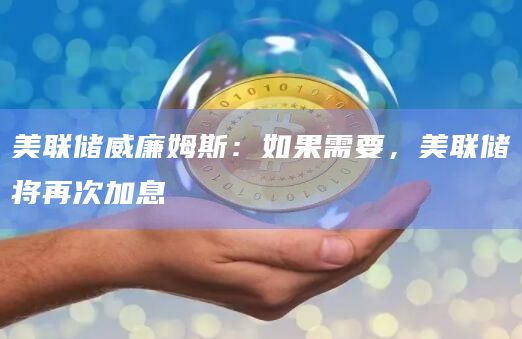 美联储威廉姆斯:如果需要,美联储将再次加息 美联储威廉姆斯:如果需要,美联储将再次加息