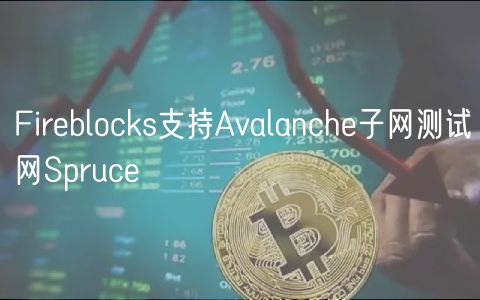 Fireblocks支持Avalanche子网测试网Spruce
