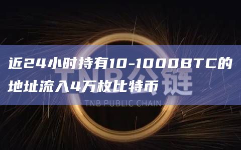 近24小时持有10-1000BTC的地址流入4万枚比特币