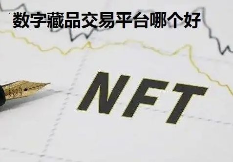 藏品交易平台(靠谱的收藏品交易平台)
