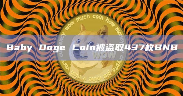 Baby Doge Coin被盗取437枚BNB