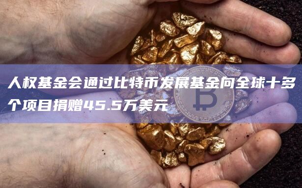 人权基金会通过比特币发展基金向全球十多个项目捐赠45.5万美元