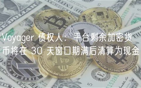 Voyager 债权人：平台剩余加密货币将在 30 天窗口期满后清算为现金