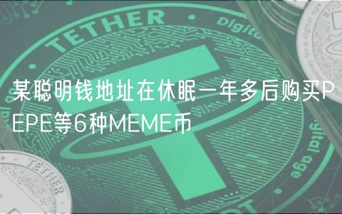 某聪明钱地址在休眠一年多后购买PEPE等6种MEME币
