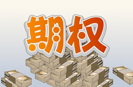 期权的含义_期权到底是什么意思1