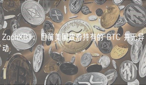 ZachXBT：目前美国政府持有的 BTC 并无异动