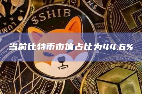 当前比特币市值占比为44.6%
