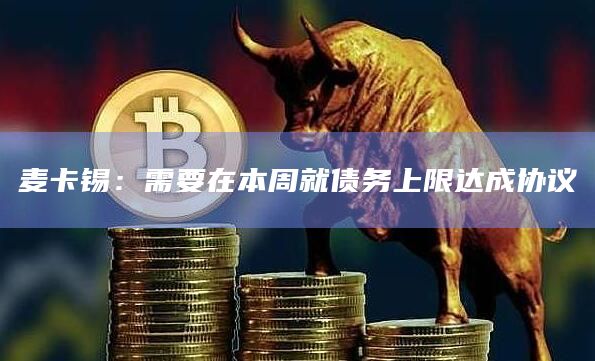 麦卡锡：需要在本周就债务上限达成协议