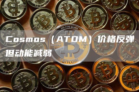 Cosmos（ATOM）价格反弹但动能减弱