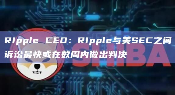 Ripple CEO:Ripple与美SEC之间诉讼最快或在数周内做出判决