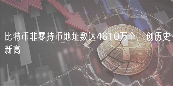 比特币非零持币地址数达4610万个，创历史新高