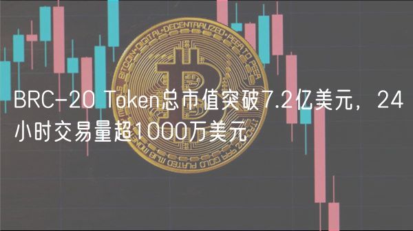 BRC-20 Token总市值突破7.2亿美元，24小时交易量超1000万美元