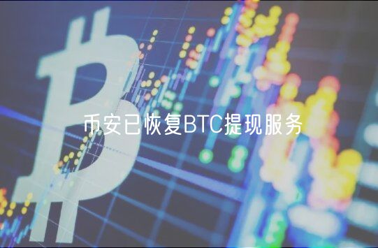 币安已恢复BTC提现服务