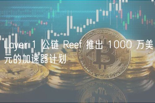 Layer 1 公链 Reef 推出 1000 万美元的加速器计划
