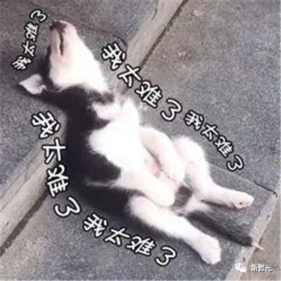 Stable Diffusion又出大招!「文生动画」震撼发布淘汰导演,DC英雄一秒变身 Stable Diffusion又出大招!「文生动画」震撼发布淘汰导演,DC英雄一秒变身