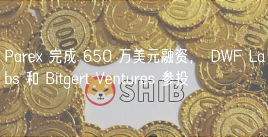 Parex 完成 650 万美元融资， DWF Labs 和 Bitgert Ventures 参投