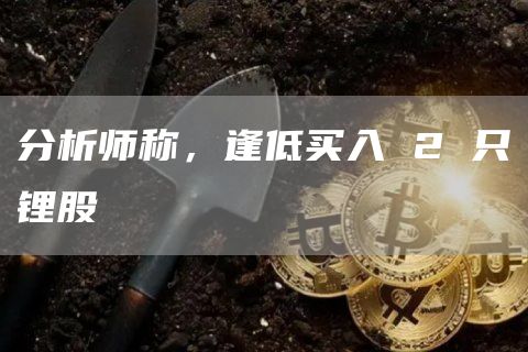 分析师称，逢低买入 2 只锂股