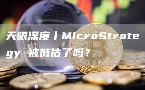 天眼深度丨MicroStrategy 被低估了吗？