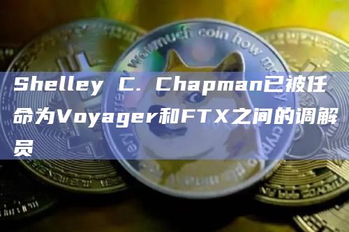 Shelley C. Chapman已被任命为Voyager和FTX之间的调解员