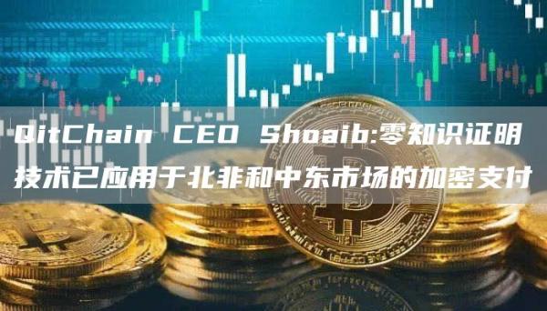 QitChain CEO Shoaib:零知识证明技术已应用于北非和中东市场的加密支付